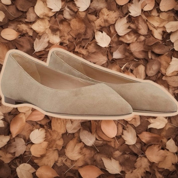 NWT Sam Edelman ‘Sally’ Pointed Toe Flats in “Oatmeal” Suede Leather Size 11 - Picture 2 of 16